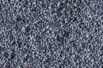 Texture of blue poppy seeds