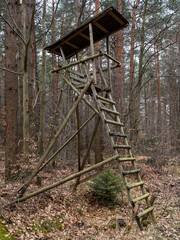 Hochsitz im Wald ohne Jäger