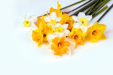 Beautiful bouquet of yellow and white daffodils isolated on a white background, Greeting card. copy space
