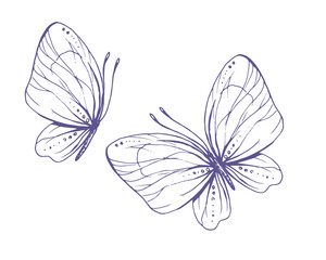 Delicate butterflies with patterns on the wings, simple, sweet, light, romantic. Illustration graphically hand-drawn in lilac ink in line style. Set of isolated EPS vector objects