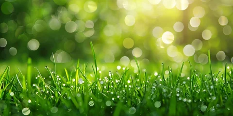 Poster green lawn grass with morning dew at sunrise against the background of a defocused blur effect © megavectors
