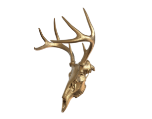 Gold deer skull with horns or Image of deer skull on transparency background