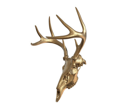 Gold deer skull with horns or Image of deer skull on transparency background