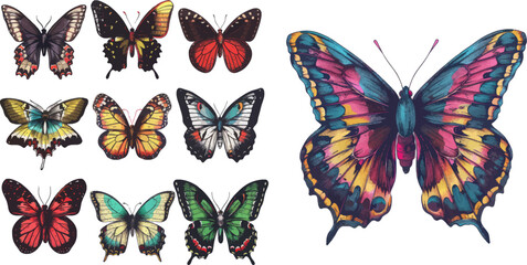 Flower butterflies, moth wings and spring colorful flying insect