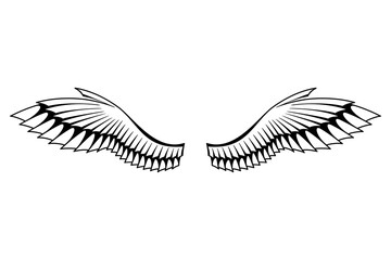 Wings sketch. Stylized birds wings. Hand drawn contoured stiker wing in open position. Vector design elements in coloring style