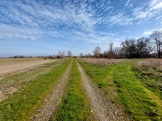 Gravel road, grass and fields in rural area in Germany - 766288014