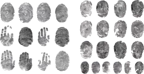 Fotobehang Security fingerprint authentication vector illustration set © Mark
