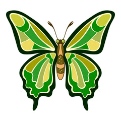 Colorful tropical butterfly vector illustration in green color palette