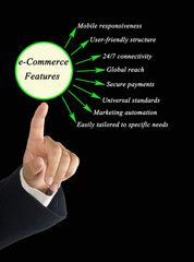 Man Presenting Eight e-Commerce Features