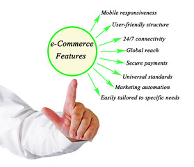 Man Presenting Eight e-Commerce Features