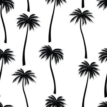 Palm Pattern, Palm vector Design, Palm Background pattern, Palm Cute Vector Pattern, Cute Vector Pattern, Palm icon Silhouette, Palm Pattern illustration
