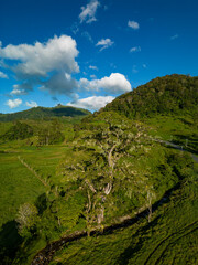 Fototapeta na wymiar Aerial view of rural landscape farms with green patchwork pasture, Chiriqui, panama - stock photo