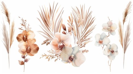 Flowers of dried lunaria, orchids, pampas grass, tropical palm leaves modern collection. Pastel watercolor floral template isolated collection for wedding wreaths, bouquet frames, decoration
