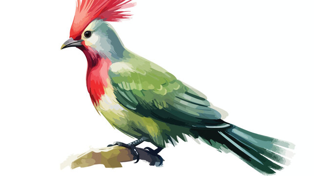 Red crested Turaco watercolor painted Flat vector 