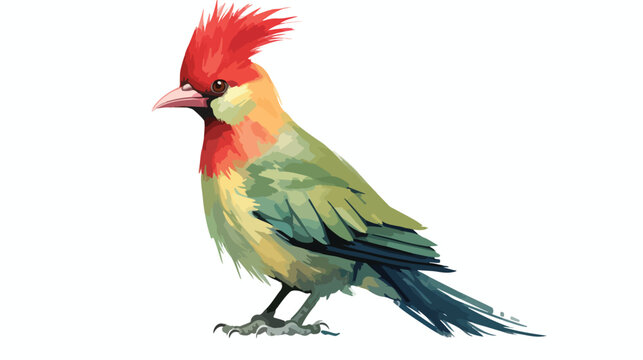 Red crested Turaco watercolor painted Flat vector 