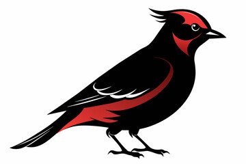  Waxwing bird silhouette vector illustration
