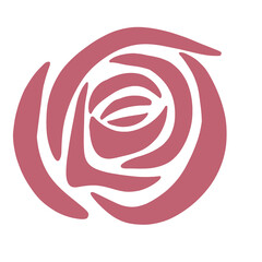 rose flower