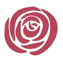 rose flower