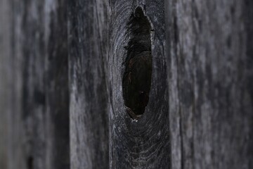 weathered wooden surface with a prominent knot hole at its center. wood exhibits rough textures,...