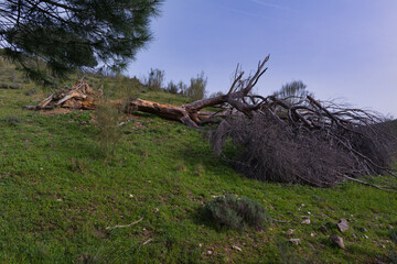 Fototapety na wymiar - Fototapeta24.pl