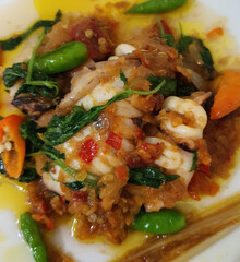 Tumis Cumi Cabe or stir fried fresh squid with green chili and red thai chili, served in white bowl. Indonesian traditional dish. Selective focus.