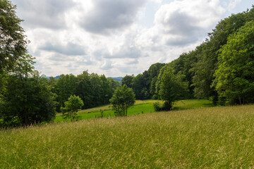 Obraz premium Rural scene with hill panorama, fields and forest with trees near Obertrubach in Franconian Switzerland, Germany