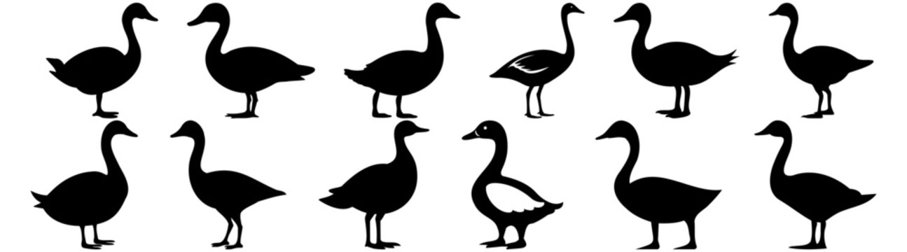 Duck hunting silhouette set vector design big pack of illustration and icon