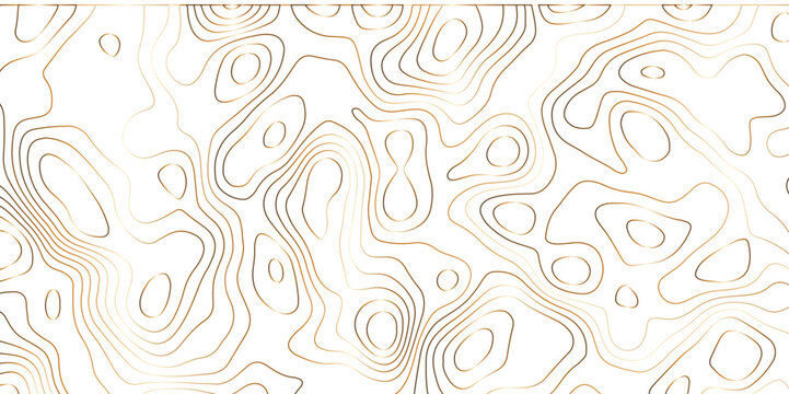 Topographic map and landscape terrain texture grid. Abstract lines background. Contour maps. Vector illustration. golden and white topographic contours lines of mountains.	
