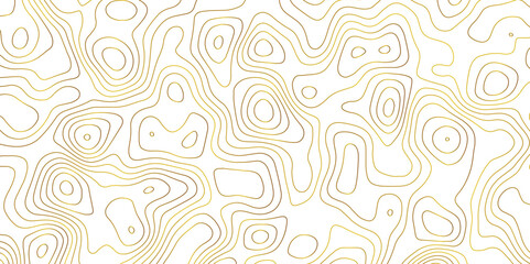 Topographic map and landscape terrain texture grid. Abstract lines background. Contour maps. Vector illustration. golden and white topographic contours lines of mountains.	
 - obrazy, fototapety, plakaty