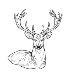 Deer with big horns.Animals single icon in outline style vector symbol stock illustration 