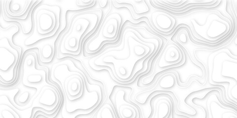 Abstract white paper cut background with line. 3d topography relief. Vector topographic illustration. realistic papercut decoration textured with wavy layer and shadow. seamless pattern wave design.