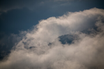 beautiful spring morning and sunrise with fog and tree silhouettes on the mountains
