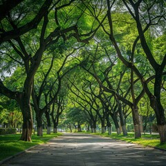 Trees in the open space of the city. Generative AI
