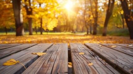 Naklejka na ściany i meble Golden Autumn Sunshine on Wooden Path
