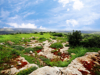 Beautiful views in the Israeli Sansan Nature Reserve