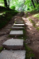 森の散歩道,石段,新緑の森,苔のむす森,パワースポット,石段のある森の田舎道,