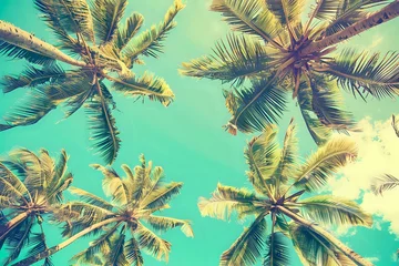 Afwasbaar Fotobehang Koraalgroen palm trees and blue sky. Generative AI