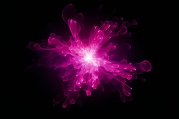 Magenta light flare isolated black background