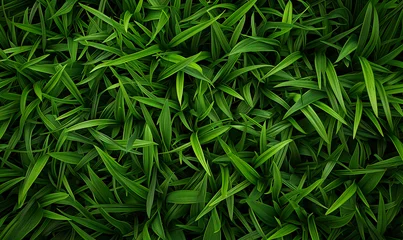 Schapenvacht deken met patroon Gras lush green grass, grass field background, green background top view
