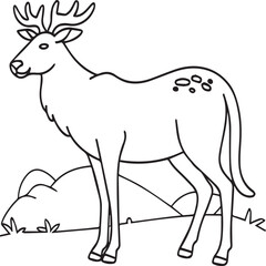 Domestic animals coloring pages. Domestic animals outline vector.