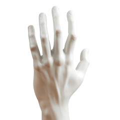 Top View of Hand Design in 3D Render