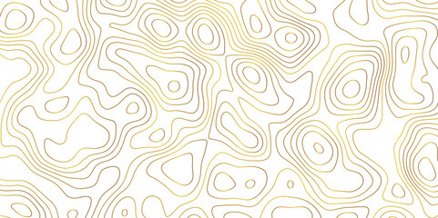 Topographic map and landscape terrain texture grid. Abstract lines background. Contour maps. Vector illustration. golden and white topographic contours lines of mountains.	
