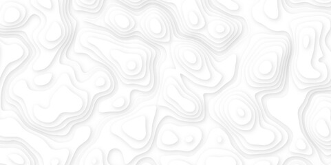 Abstract white paper cut background with line. 3d topography relief. Vector topographic illustration. realistic papercut decoration textured with wavy layer and shadow. seamless pattern wave design.