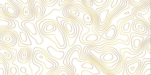 Topographic map and landscape terrain texture grid. Abstract lines background. Contour maps. Vector illustration. golden and white topographic contours lines of mountains.	

