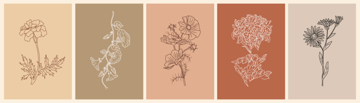 Set of botanical line art drawings of autumn birth month flowers, marigold, morning glory, chrysanthemum, aster, cosmos. Vector sketch isolated on terracotta colors backgrounds. Card, poster template.
