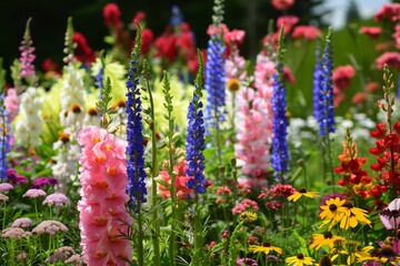 Summer flowers in the garden
