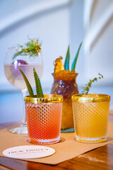 Four colorful summer cocktails with dill and agave garnish