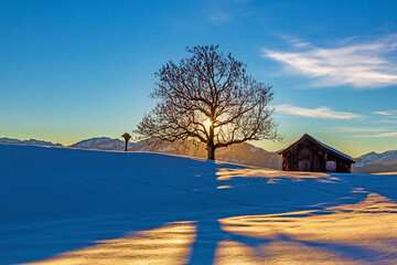 Alpen  - Winter - Sonnenuntergang - Schnee - Allgäu - Baum - Stadel 