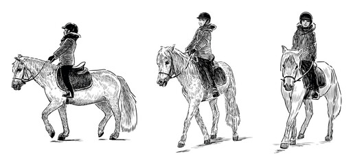 Equitation, child horseback riding, sport exercise, horse, harness, rider, realistic,sketch, vector hand drawn illustration isolated on white - 766349615
