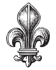 Fleur de lis, french lily, medieval, royal,sketch,hand drawn black and white vector illustration isolated on white
